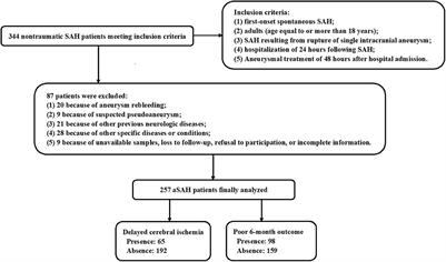 Potential role of serum hypoxia-inducible factor 1alpha as a biomarker of delayed cerebral ischemia and poor clinical outcome after human aneurysmal subarachnoid hemorrhage: A prospective, longitudinal, multicenter, and observational study